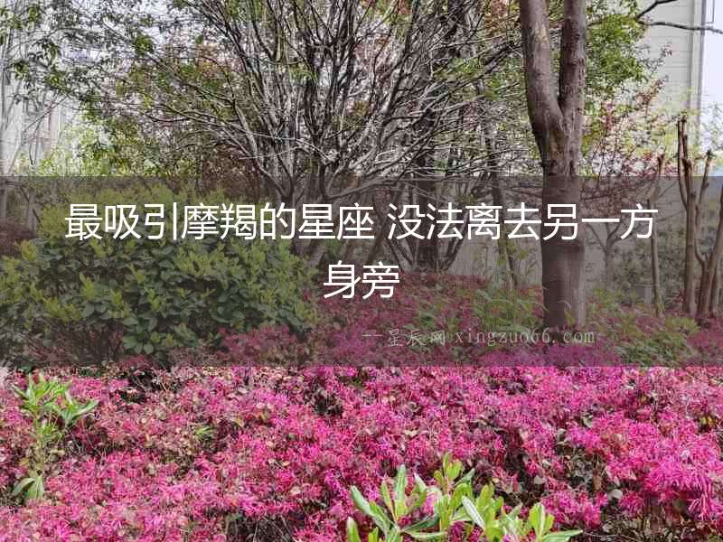 最吸引摩羯的星座 沒法離去另一方身旁