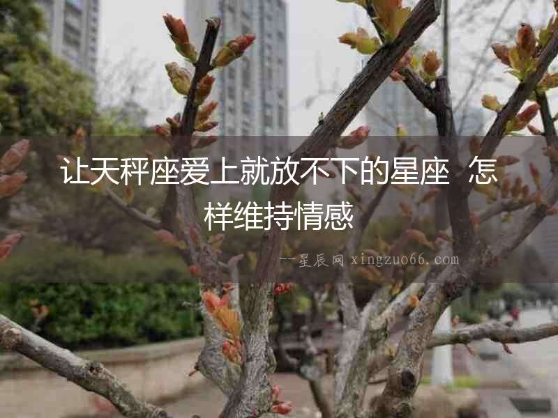讓天秤座愛上就放不下的星座  怎樣維持情感