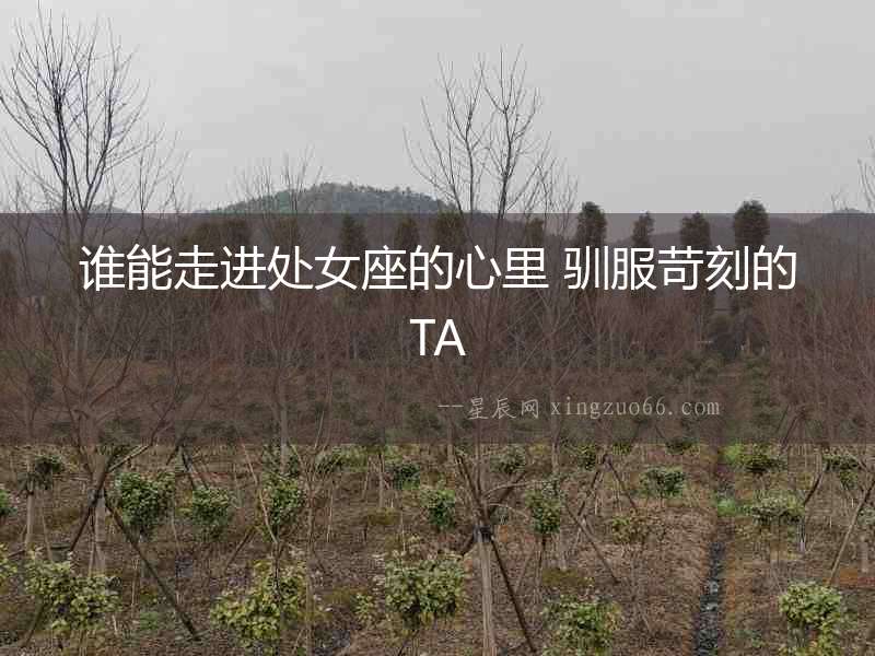 誰能走進處女座的心里 馴服苛刻的TA