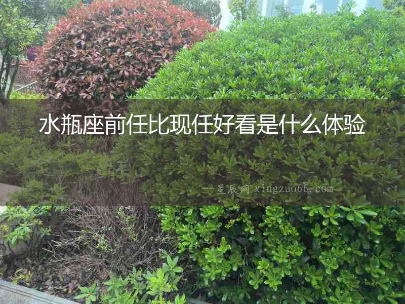 水瓶座前任比現(xiàn)任好看是什么體驗(yàn)