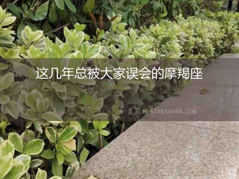 這幾年總被大家誤會的摩羯座