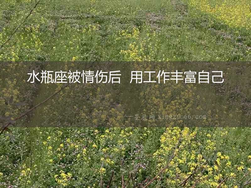 水瓶座被情傷后  用工作豐富自己