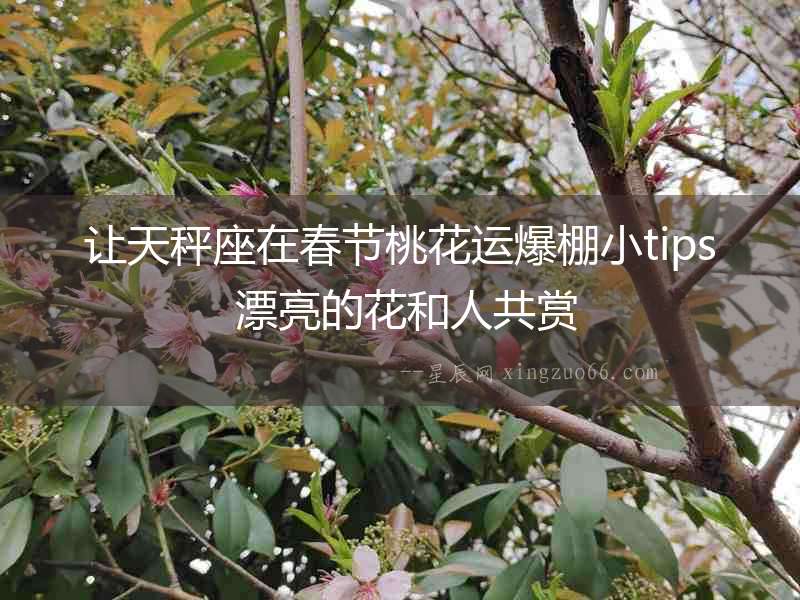 讓天秤座在春節(jié)桃花運爆棚小tips 漂亮的花和人共賞