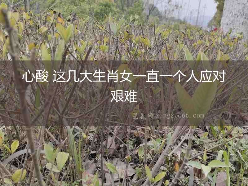 心酸 這幾大生肖女一直一個人應(yīng)對艱難