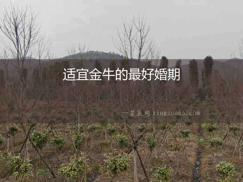 適宜金牛的最好婚期
