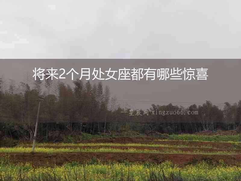 將來2個(gè)月處女座都有哪些驚喜