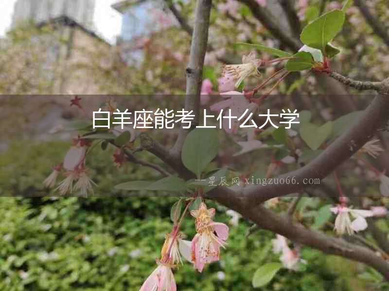 白羊座能考上什么大學