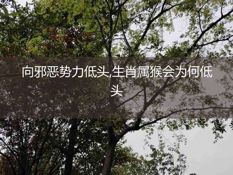 向邪惡勢(shì)力低頭,生肖屬猴會(huì)為何低頭