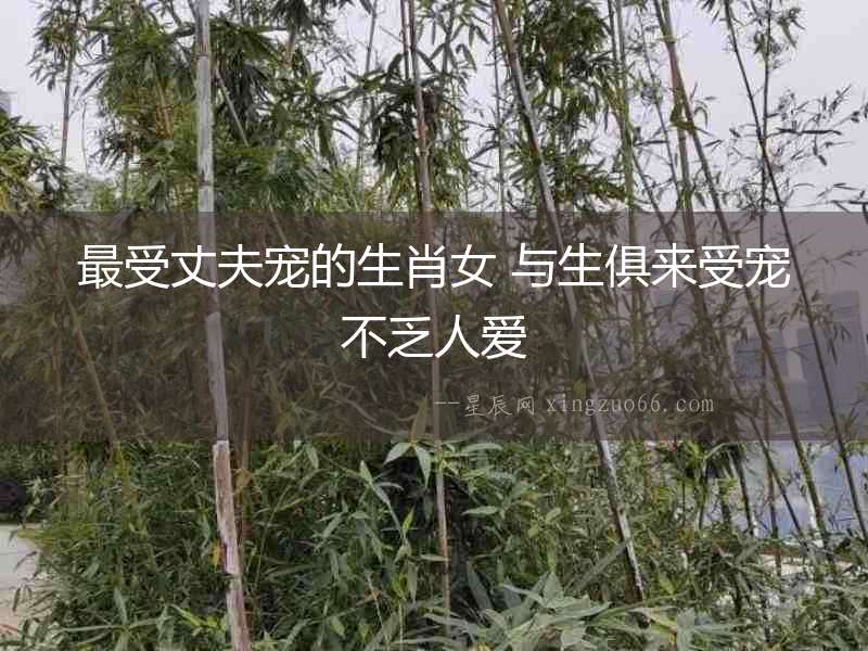 最受丈夫寵的生肖女 與生俱來受寵不乏人愛