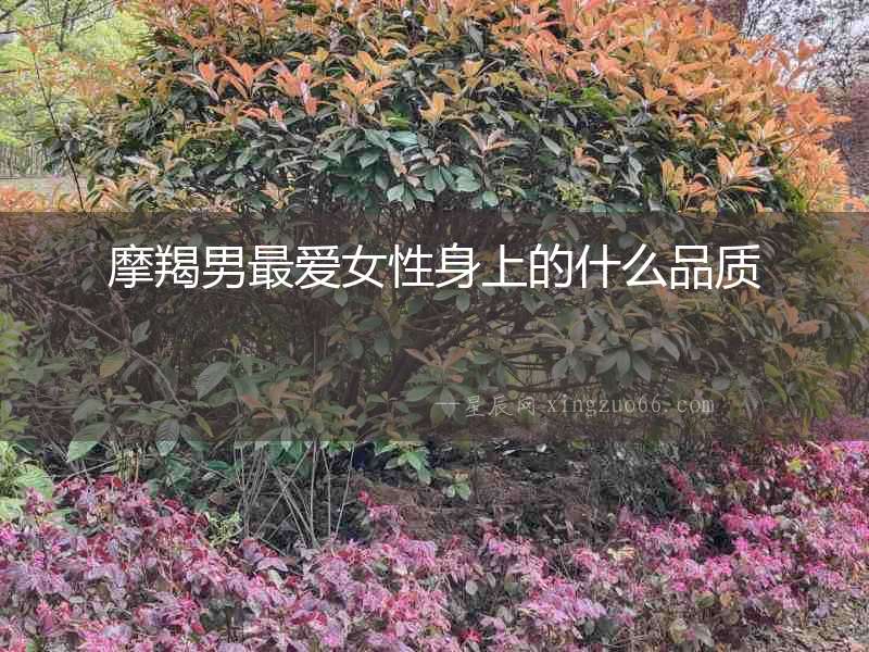 摩羯男最愛女性身上的什么品質(zhì)