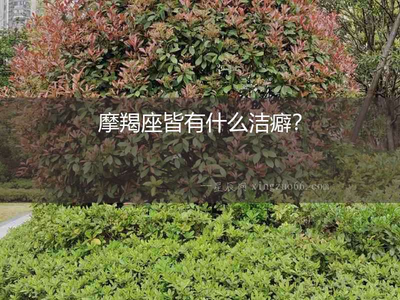 摩羯座皆有什么潔癖？