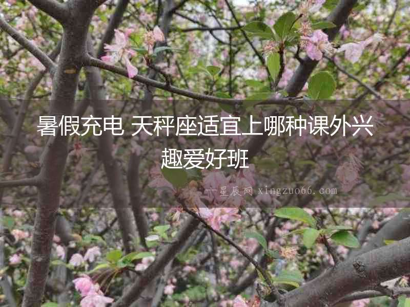 暑假充電 天秤座適宜上哪種課外興趣愛(ài)好班