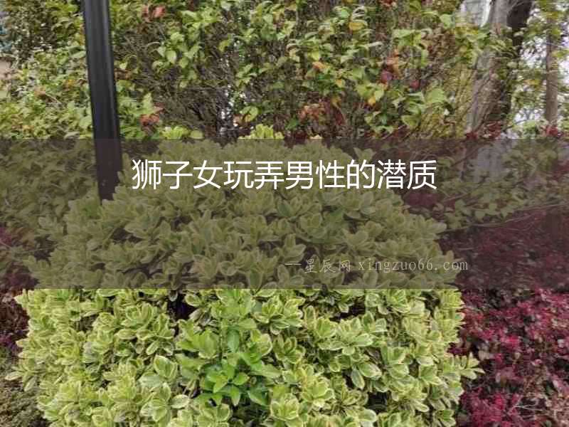 獅子女玩弄男性的潛質(zhì)