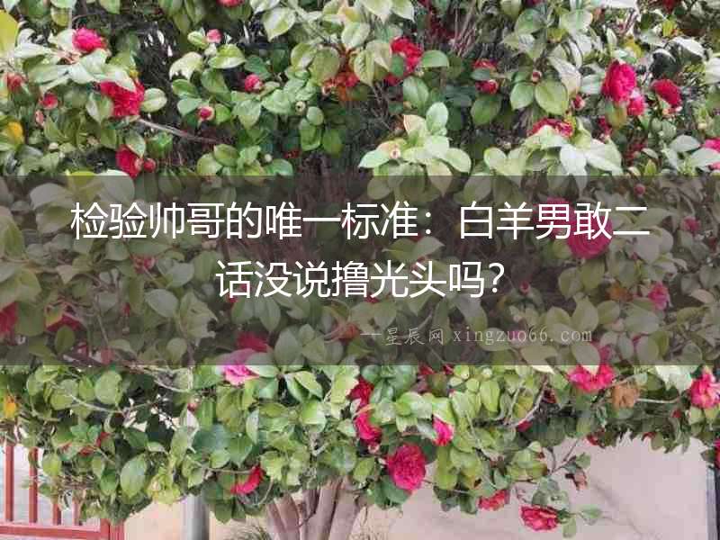 檢驗(yàn)帥哥的唯一標(biāo)準(zhǔn)：白羊男敢二話沒(méi)說(shuō)擼光頭嗎？