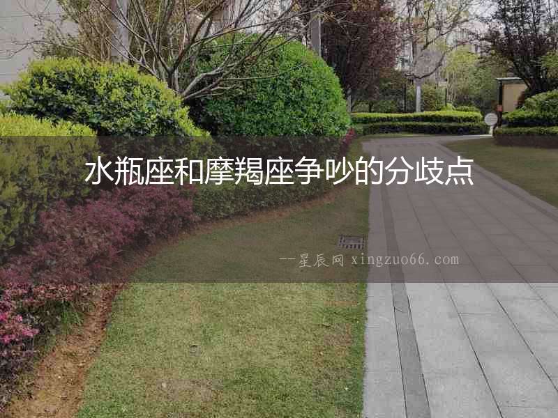水瓶座和摩羯座爭吵的分歧點(diǎn)