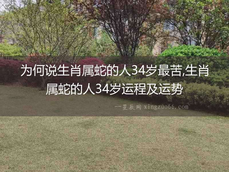 為何說(shuō)生肖屬蛇的人34歲最苦,生肖屬蛇的人34歲運(yùn)程及運(yùn)勢(shì)