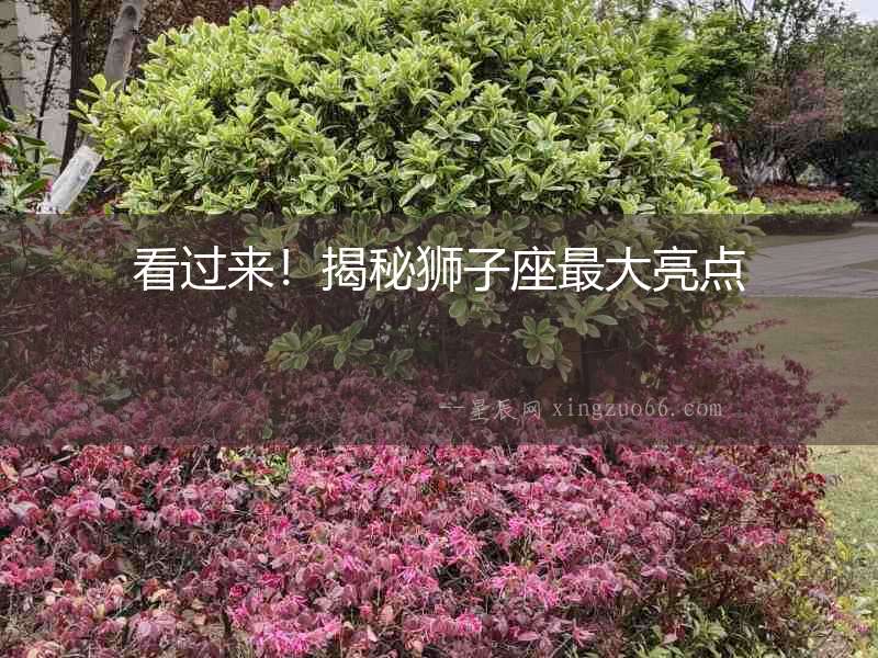 看過來！揭秘獅子座最大亮點(diǎn)