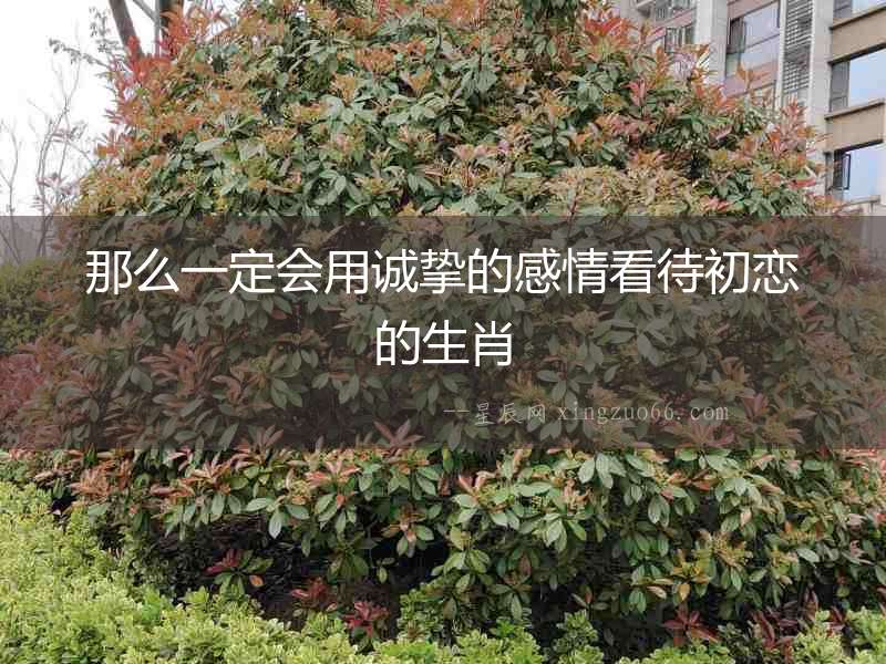 那么一定會(huì)用誠(chéng)摯的感情看待初戀的生肖