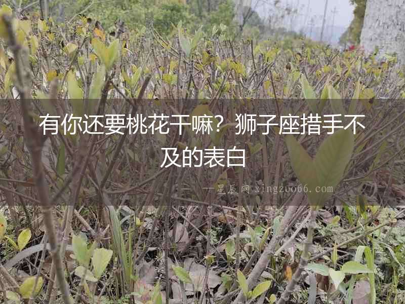 有你還要桃花干嘛？獅子座措手不及的表白