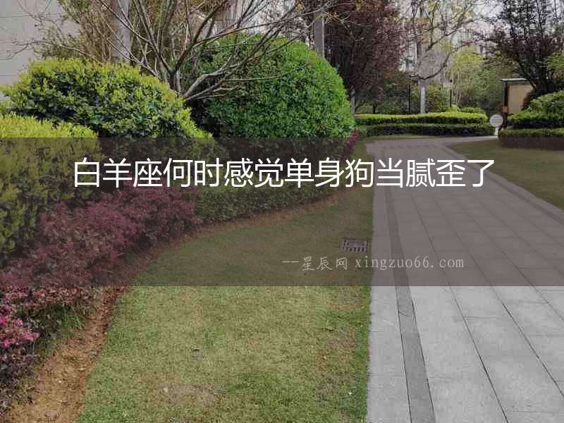 白羊座何時感覺單身狗當膩歪了
