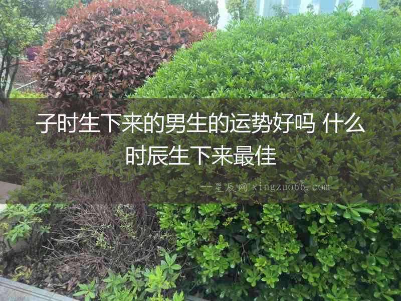 子時生下來的男生的運勢好嗎 什么時辰生下來最佳