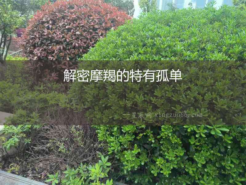 解密摩羯的特有孤單