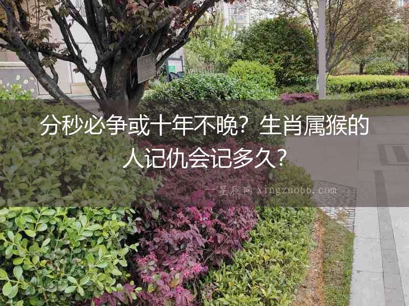分秒必爭或十年不晚？生肖屬猴的人記仇會記多久？