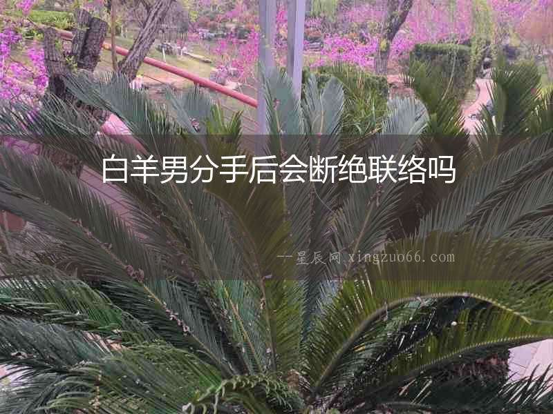白羊男分手后會(huì)斷絕聯(lián)絡(luò)嗎