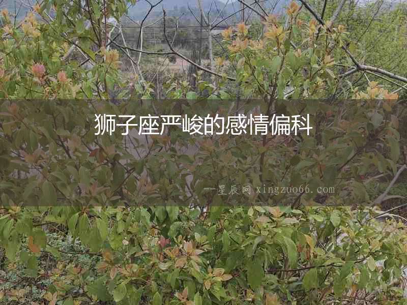 獅子座嚴峻的感情偏科