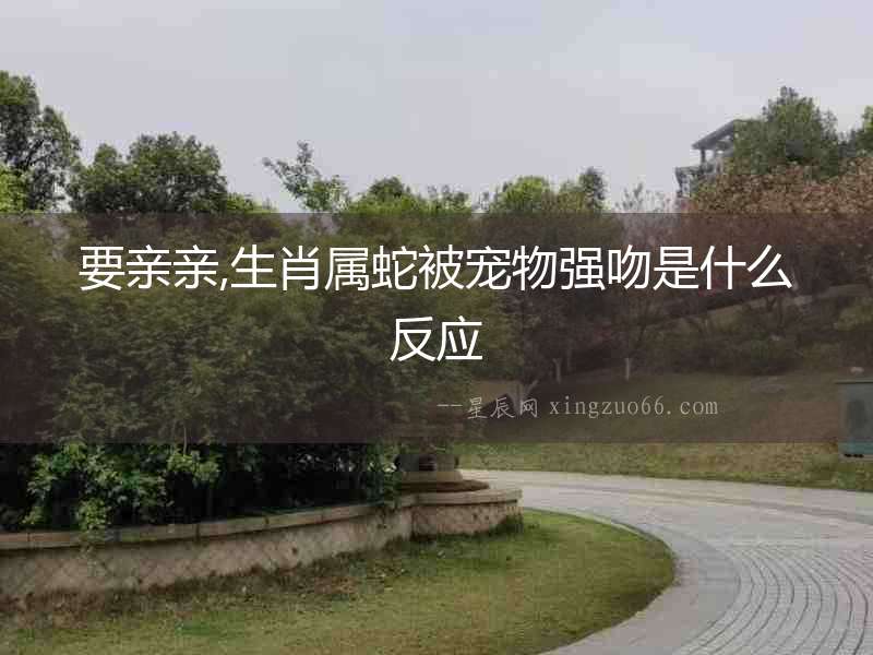 要親親,生肖屬蛇被寵物強(qiáng)吻是什么反應(yīng)