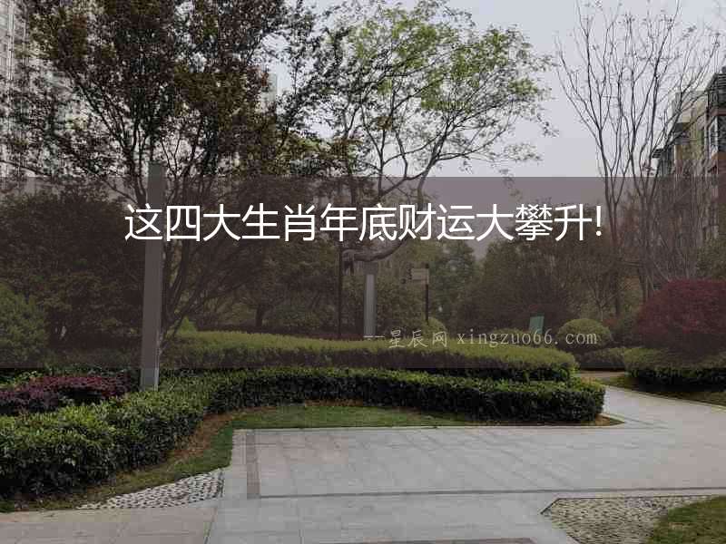 這四大生肖年底財運大攀升!
