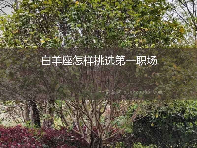白羊座怎樣挑選第一職場(chǎng)