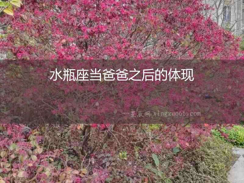 水瓶座當爸爸之后的體現