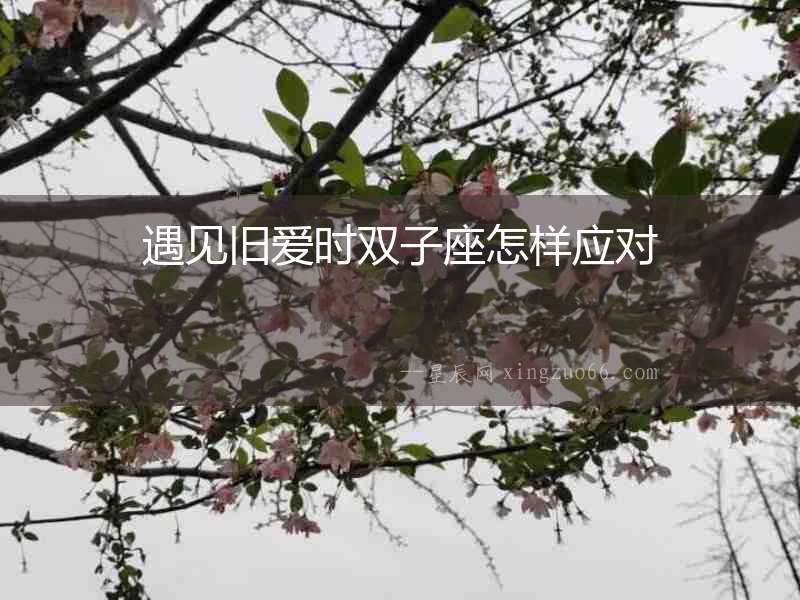 遇見舊愛時雙子座怎樣應對