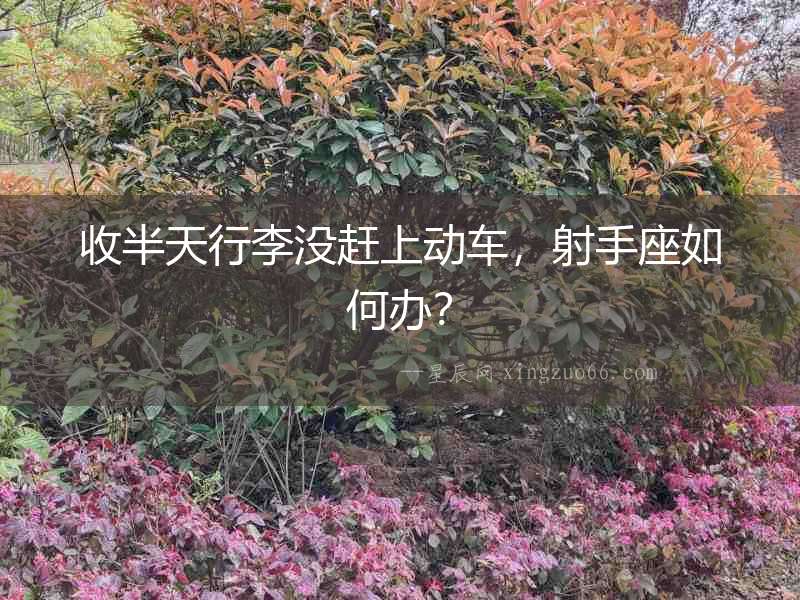 收半天行李沒趕上動車，射手座如何辦？