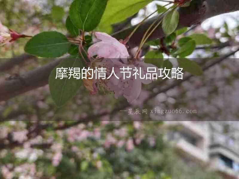 摩羯的情人節禮品攻略