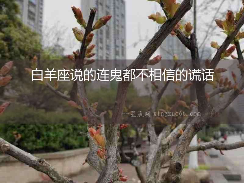 白羊座說的連鬼都不相信的謊話
