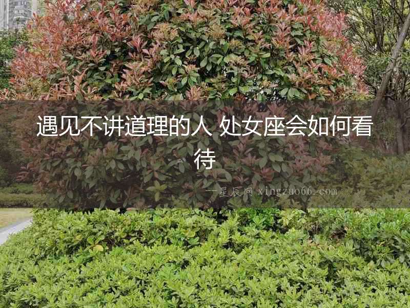 遇見不講道理的人 處女座會如何看待