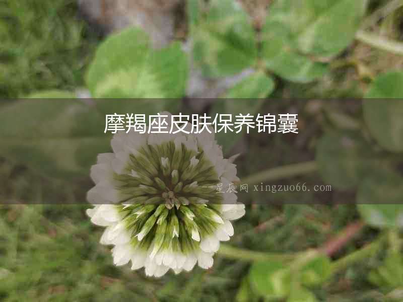 摩羯座皮膚保養(yǎng)錦囊