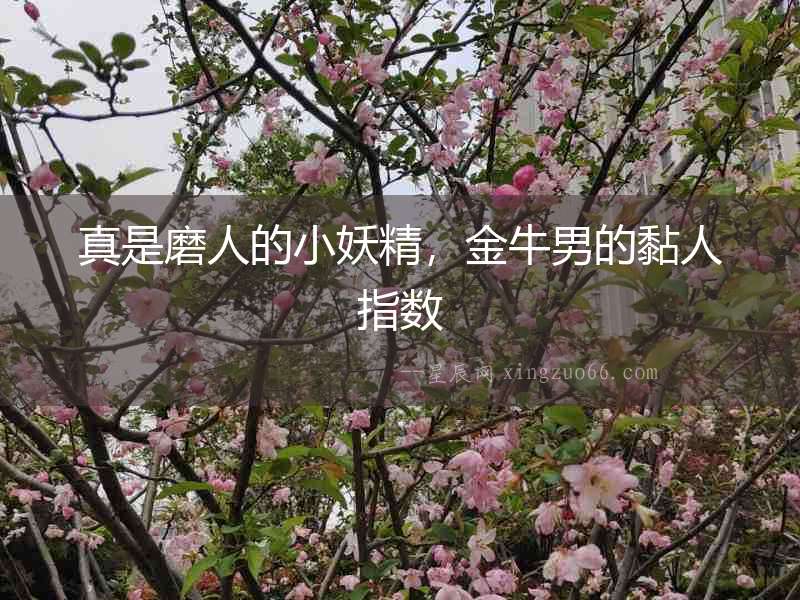 真是磨人的小妖精，金牛男的黏人指數(shù)