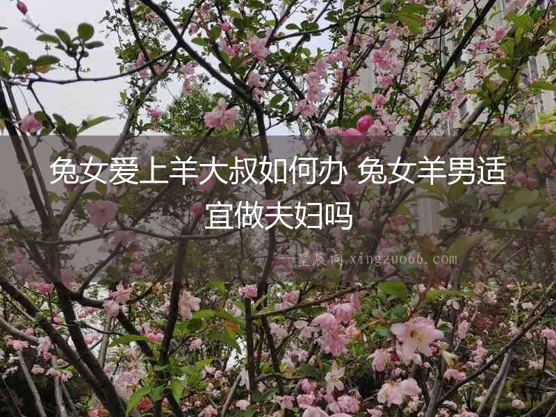 兔女愛上羊大叔如何辦 兔女羊男適宜做夫婦嗎