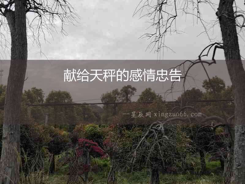 獻(xiàn)給天秤的感情忠告