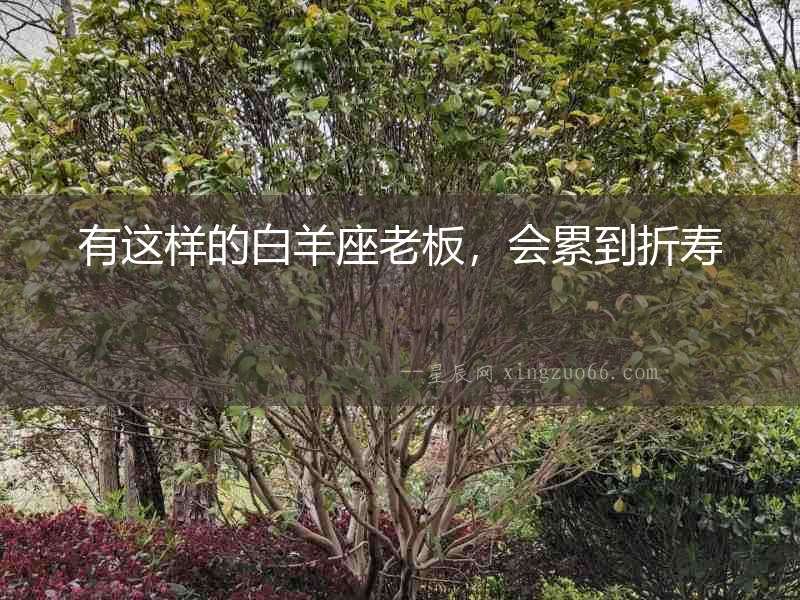 有這樣的白羊座老板，會累到折壽