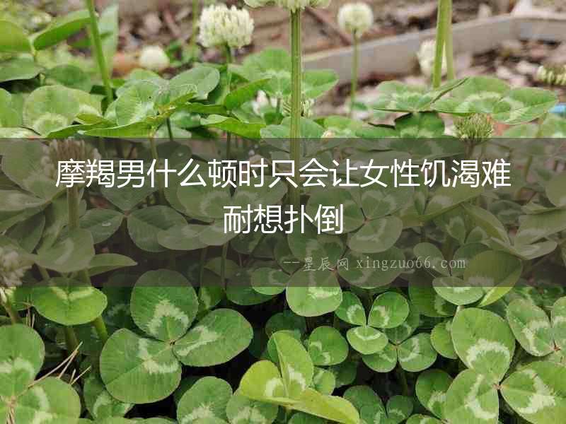 摩羯男什么頓時只會讓女性饑渴難耐想撲倒