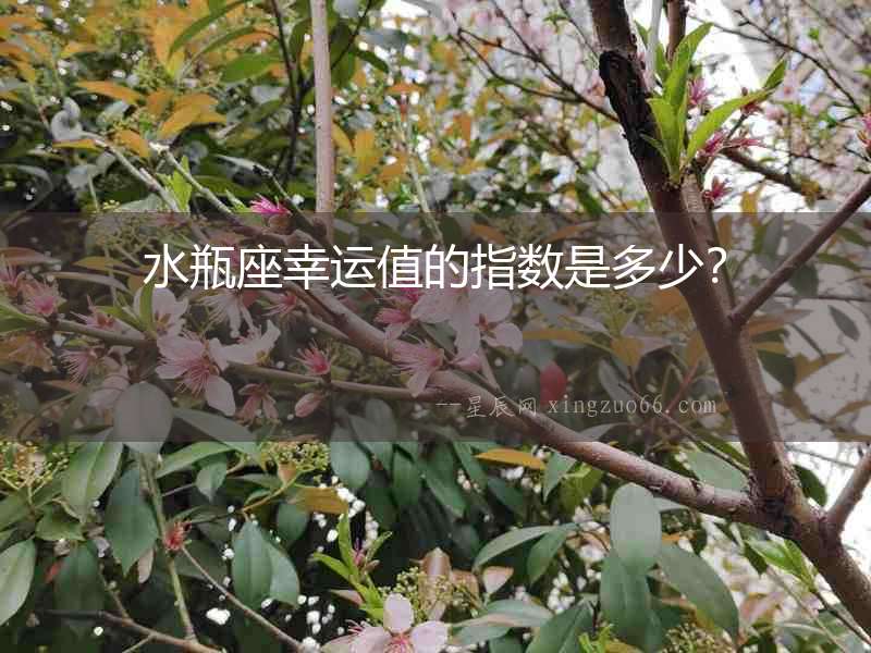 水瓶座幸運值的指數(shù)是多少？