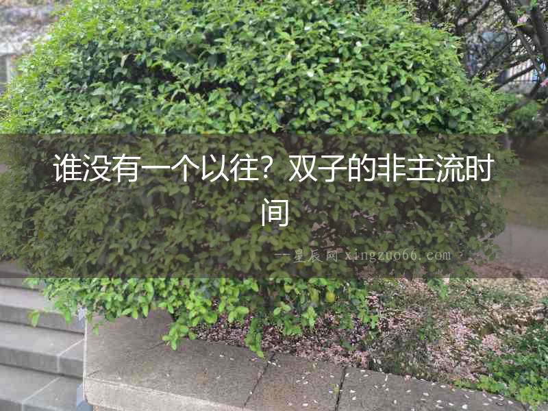 誰(shuí)沒(méi)有一個(gè)以往？雙子的非主流時(shí)間