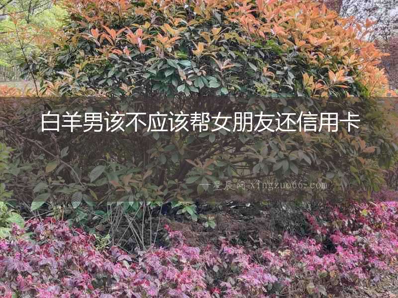 白羊男該不應(yīng)該幫女朋友還信用卡