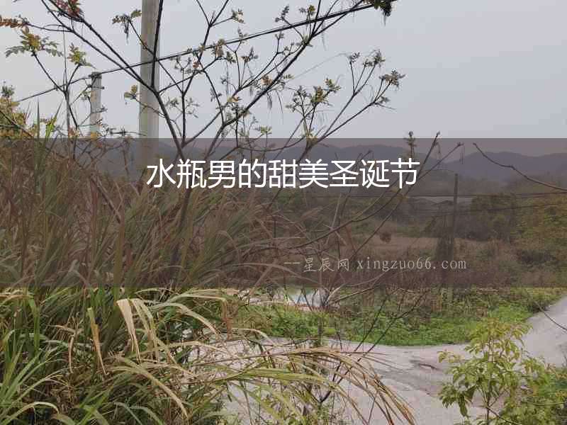 水瓶男的甜美圣誕節