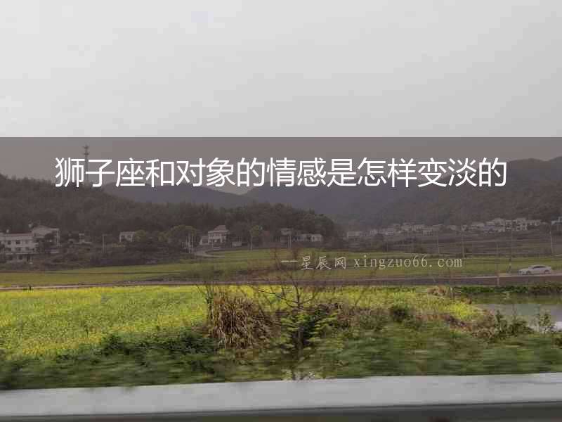 獅子座和對(duì)象的情感是怎樣變淡的