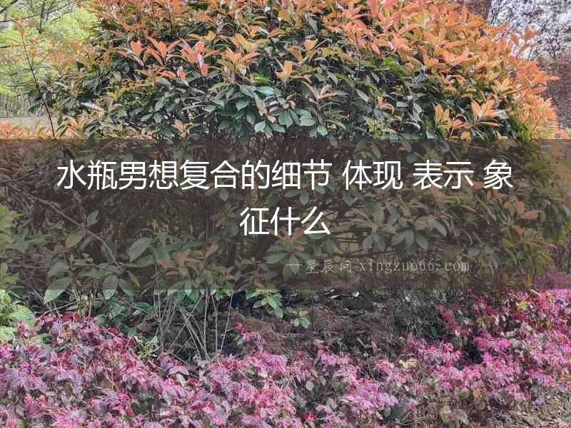 水瓶男想復(fù)合的細(xì)節(jié) 體現(xiàn) 表示 象征什么